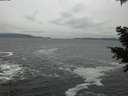 ./images/koeye/fitz-hugh/20201217/fitz-hugh20201217_153501.jpg