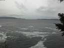 ./images/koeye/fitz-hugh/20201217/fitz-hugh20201217_154001.jpg