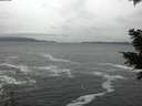 ./images/koeye/fitz-hugh/20201217/fitz-hugh20201217_154501.jpg