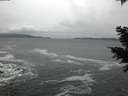 ./images/koeye/fitz-hugh/20201217/fitz-hugh20201217_155001.jpg