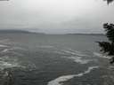 ./images/koeye/fitz-hugh/20201217/fitz-hugh20201217_155501.jpg
