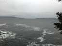 ./images/koeye/fitz-hugh/20201217/fitz-hugh20201217_160002.jpg
