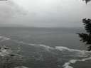 ./images/koeye/fitz-hugh/20201217/fitz-hugh20201217_162502.jpg