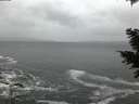 ./images/koeye/fitz-hugh/20201217/fitz-hugh20201217_163002.jpg