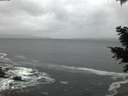 ./images/koeye/fitz-hugh/20201217/fitz-hugh20201217_163502.jpg