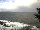 ./images/koeye/fitz-hugh/20201220/fitz-hugh20201220_115001.jpg