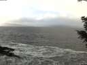 ./images/koeye/fitz-hugh/20201220/fitz-hugh20201220_120002.jpg