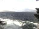 ./images/koeye/fitz-hugh/20201220/fitz-hugh20201220_121001.jpg