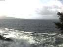 ./images/koeye/fitz-hugh/20201220/fitz-hugh20201220_122001.jpg