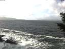 ./images/koeye/fitz-hugh/20201220/fitz-hugh20201220_122501.jpg
