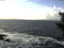 ./images/koeye/fitz-hugh/20201220/fitz-hugh20201220_123502.jpg