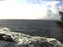 ./images/koeye/fitz-hugh/20201220/fitz-hugh20201220_124002.jpg