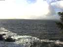 ./images/koeye/fitz-hugh/20201220/fitz-hugh20201220_124502.jpg