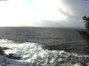./images/koeye/fitz-hugh/20201220/fitz-hugh20201220_125002.jpg
