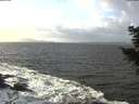 ./images/koeye/fitz-hugh/20201220/fitz-hugh20201220_125502.jpg