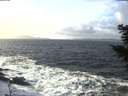 ./images/koeye/fitz-hugh/20201220/fitz-hugh20201220_130002.jpg