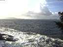 ./images/koeye/fitz-hugh/20201220/fitz-hugh20201220_130502.jpg
