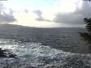 ./images/koeye/fitz-hugh/20201220/fitz-hugh20201220_132002.jpg
