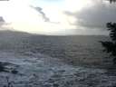 ./images/koeye/fitz-hugh/20201220/fitz-hugh20201220_132502.jpg