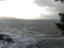 ./images/koeye/fitz-hugh/20201220/fitz-hugh20201220_133001.jpg