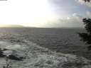 ./images/koeye/fitz-hugh/20201220/fitz-hugh20201220_133501.jpg