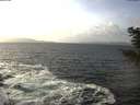 ./images/koeye/fitz-hugh/20201220/fitz-hugh20201220_134001.jpg
