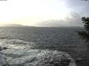 ./images/koeye/fitz-hugh/20201220/fitz-hugh20201220_134501.jpg