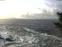 ./images/koeye/fitz-hugh/20201220/fitz-hugh20201220_135501.jpg