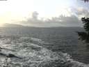 ./images/koeye/fitz-hugh/20201220/fitz-hugh20201220_140001.jpg
