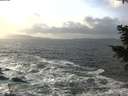 ./images/koeye/fitz-hugh/20201220/fitz-hugh20201220_140501.jpg