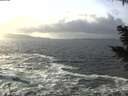 ./images/koeye/fitz-hugh/20201220/fitz-hugh20201220_141001.jpg