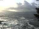 ./images/koeye/fitz-hugh/20201220/fitz-hugh20201220_141501.jpg