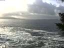 ./images/koeye/fitz-hugh/20201220/fitz-hugh20201220_142001.jpg