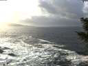 ./images/koeye/fitz-hugh/20201220/fitz-hugh20201220_142501.jpg