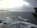 ./images/koeye/fitz-hugh/20201220/fitz-hugh20201220_143001.jpg