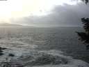 ./images/koeye/fitz-hugh/20201220/fitz-hugh20201220_143501.jpg