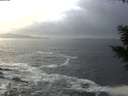 ./images/koeye/fitz-hugh/20201220/fitz-hugh20201220_144001.jpg