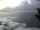 ./images/koeye/fitz-hugh/20201220/fitz-hugh20201220_144501.jpg