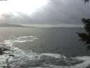 ./images/koeye/fitz-hugh/20201220/fitz-hugh20201220_145001.jpg