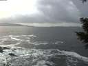 ./images/koeye/fitz-hugh/20201220/fitz-hugh20201220_145501.jpg