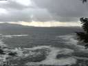 ./images/koeye/fitz-hugh/20201220/fitz-hugh20201220_151001.jpg