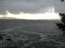 ./images/koeye/fitz-hugh/20201220/fitz-hugh20201220_152001.jpg