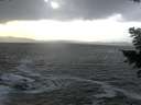 ./images/koeye/fitz-hugh/20201220/fitz-hugh20201220_153002.jpg