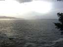 ./images/koeye/fitz-hugh/20201220/fitz-hugh20201220_154002.jpg