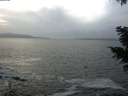 ./images/koeye/fitz-hugh/20201220/fitz-hugh20201220_154502.jpg