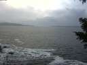 ./images/koeye/fitz-hugh/20201220/fitz-hugh20201220_155502.jpg