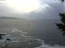 ./images/koeye/fitz-hugh/20201220/fitz-hugh20201220_160002.jpg