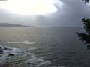 ./images/koeye/fitz-hugh/20201220/fitz-hugh20201220_160502.jpg