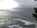 ./images/koeye/fitz-hugh/20201220/fitz-hugh20201220_164501.jpg