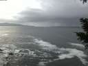 ./images/koeye/fitz-hugh/20201220/fitz-hugh20201220_165001.jpg